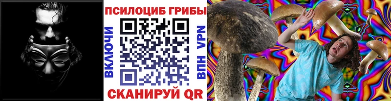 Купить  Ворсма  Галлюциногенные грибы Magic Shrooms 